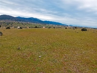 PARAJE CRUZ DEL CERRO 5