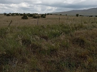 PARAJE CRUZ DEL CERRO 6