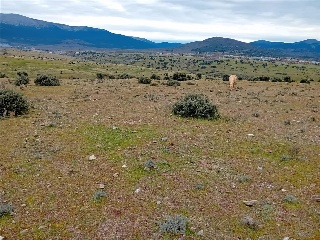 PARAJE CRUZ DEL CERRO 7