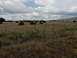 PARAJE CRUZ DEL CERRO 8