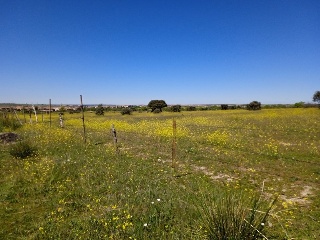 PARAJE CRUZ DEL CERRO 12