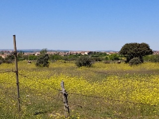 PARAJE CRUZ DEL CERRO 13