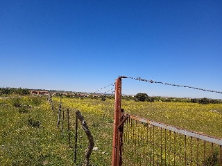 PARAJE CRUZ DEL CERRO 15