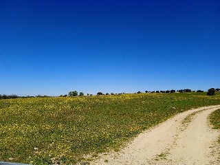 PARAJE CRUZ DEL CERRO 16