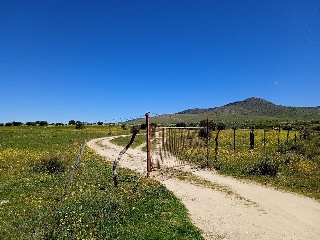 PARAJE CRUZ DEL CERRO 17
