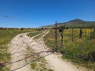 PARAJE CRUZ DEL CERRO 18