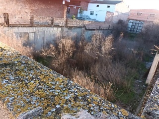 PONENT 8