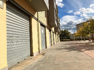 RENACIMIENTO 5