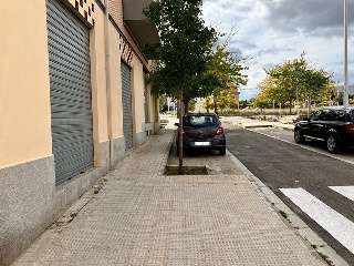 RENACIMIENTO 6