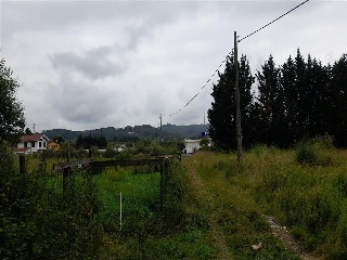 Erandio Goikoa. La Campa 8