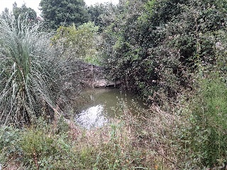Erandio Goikoa. La Campa 11