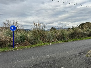 Erandio Goikoa. La Campa 16