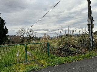 Erandio Goikoa. La Campa 17