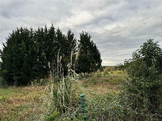 Erandio Goikoa. La Campa 19