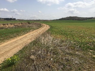 Suelos rústicos en C/ Valdelayegua - Torres de la Alameda - Madrid 12
