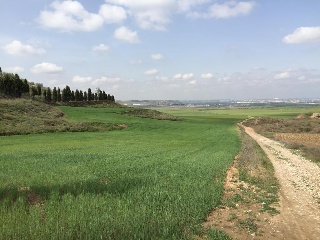 Suelos rústicos en C/ Valdelayegua - Torres de la Alameda - Madrid 15