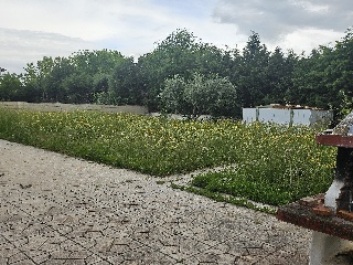 Inmueble situado en Arcicóllar 12