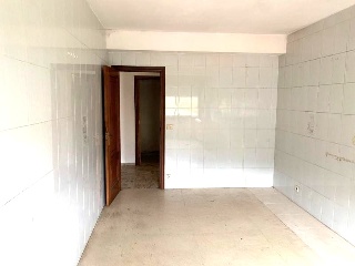 Soto 6