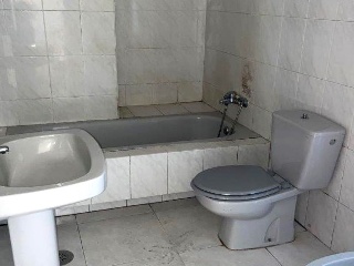 Soto 15