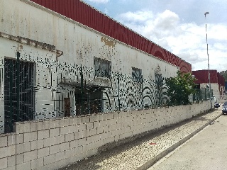 Pisos banco Oliva