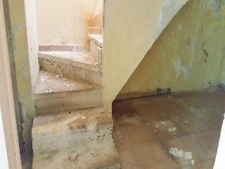 Font De L'Armengol 6