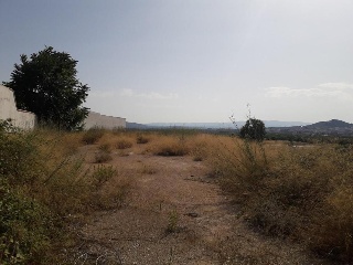 San Jose 4