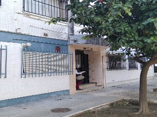 Mateo Aleman 6