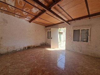 Estiu 31