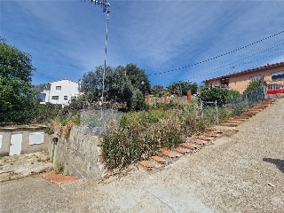 Estiu 36
