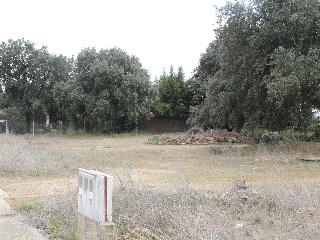 Manuel Herrera 4