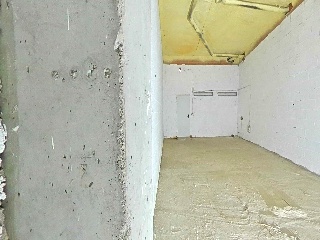 Lirios 8
