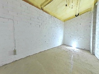 Lirios 13