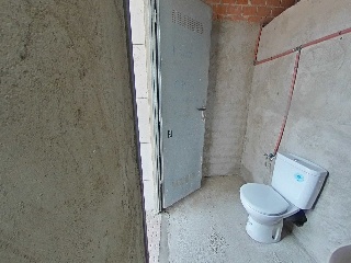 Lirios 16