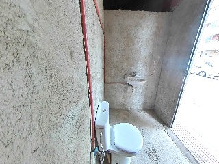Lirios 17