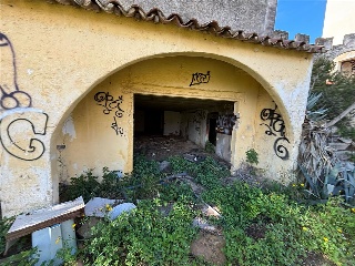 Biot Sec A 10