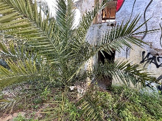 Biot Sec A 14