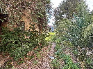 Biot Sec A 15