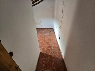 Zocotroca 6