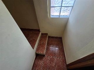Zocotroca 8