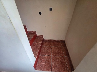 Zocotroca 9