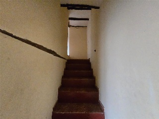 Zocotroca 10