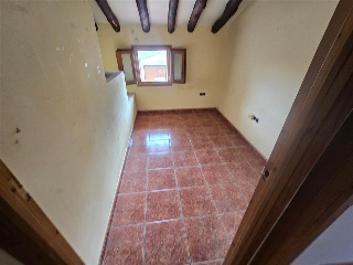 Zocotroca 12