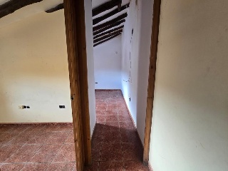 Zocotroca 13