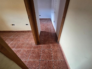 Zocotroca 15