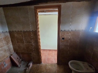 Zocotroca 16