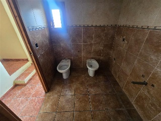 Zocotroca 18