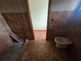 Zocotroca 19