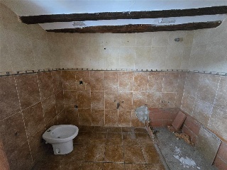 Zocotroca 20