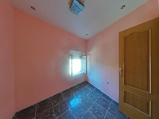 Cruz 29