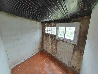 Xaloc 19
